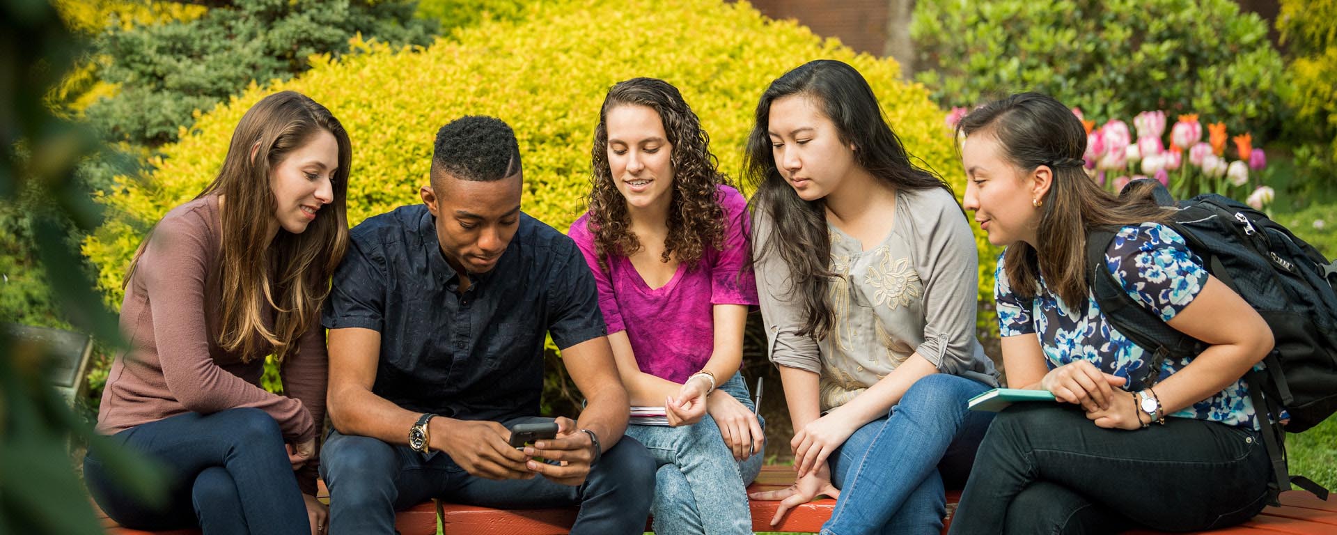 Five students sitting on an outdoor bench looking at one student's phone