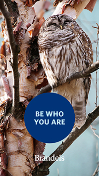 Owl in a tree branch with text that reads Be who you are. Brandeis