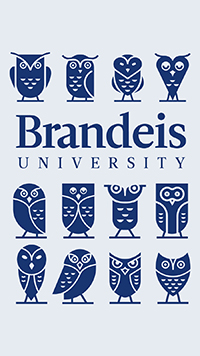 Illustrations of 12 owls with the Brandeis University wordmark