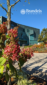 Shapiro Campus Center in the background with spring flowers in the foreground. Brandeis University logo and seal.