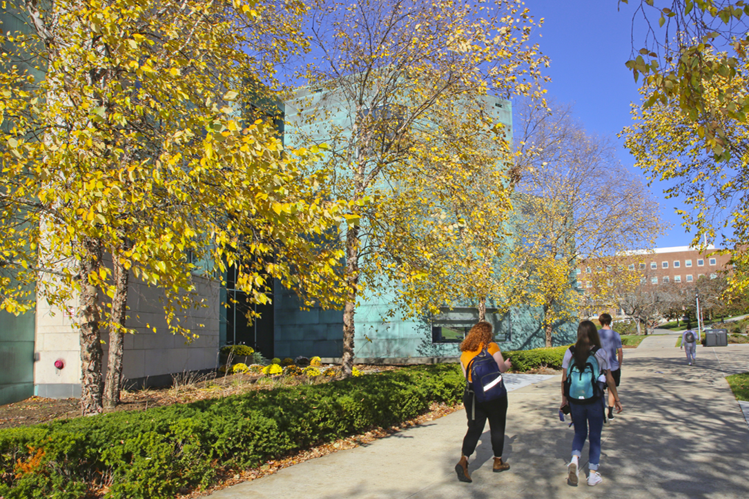 Students walking past the Shapiro Campus Center and a tree with yellow leaves