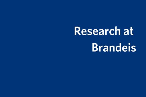 Research at Brandeis
