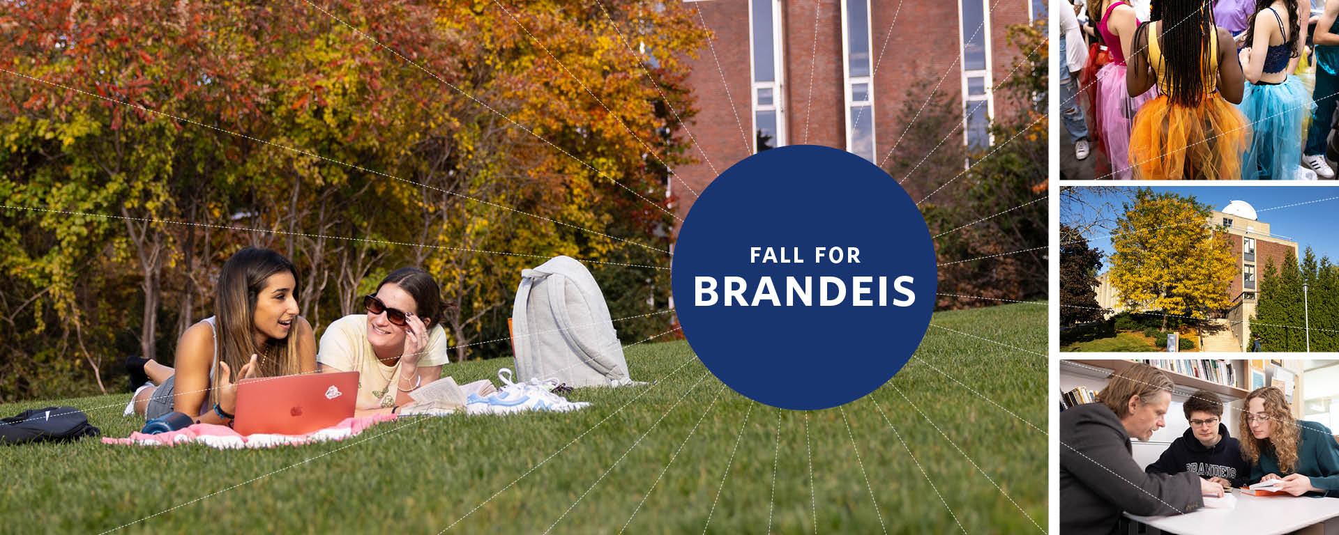 The backs of three students sitting on a bench next to a tree, with the words Fall for Brandeis.