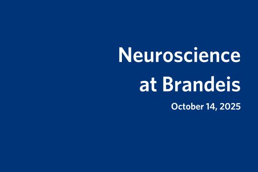 Neuroscience at Brandeis