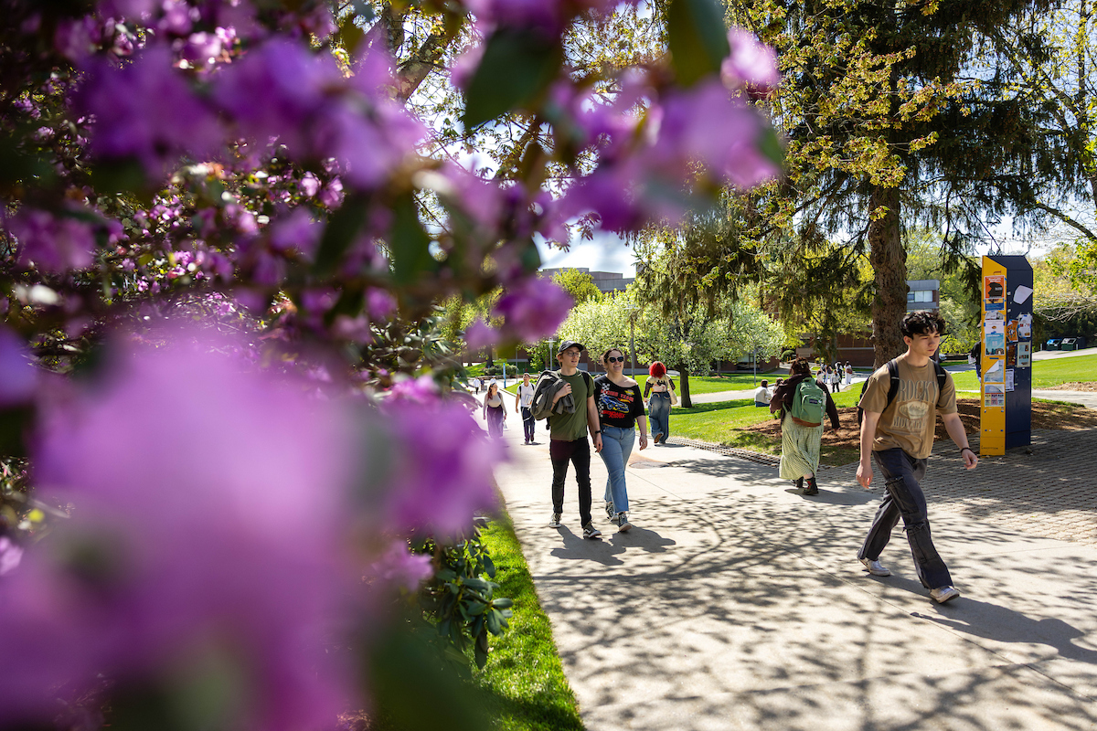 People on a walking tour of the Brandeis campus