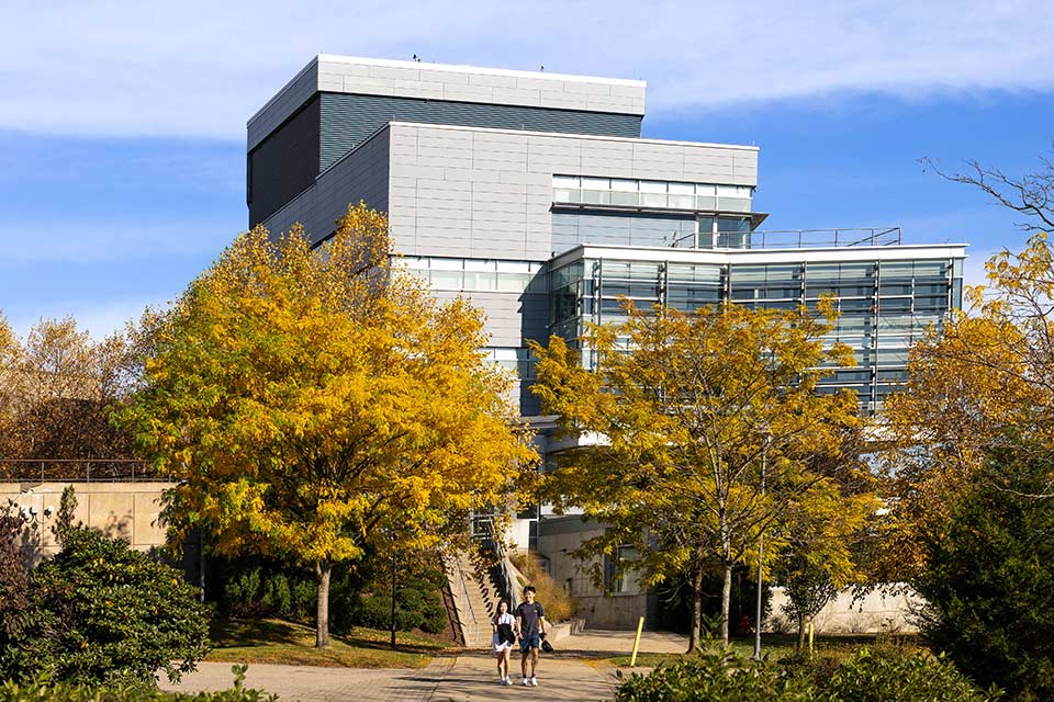 Students walk through Brandeis campus