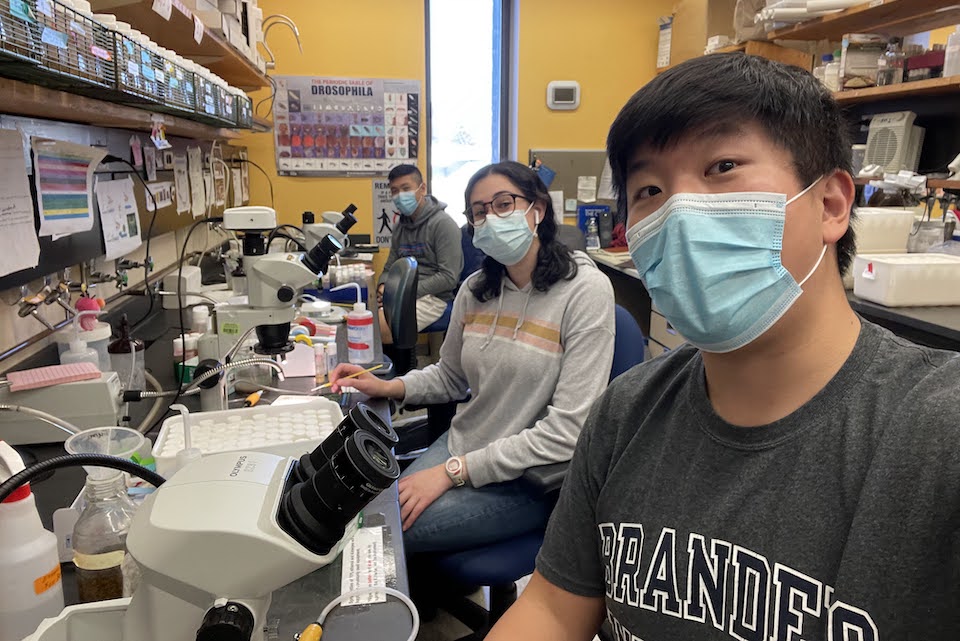 Students wearing masks in a lab