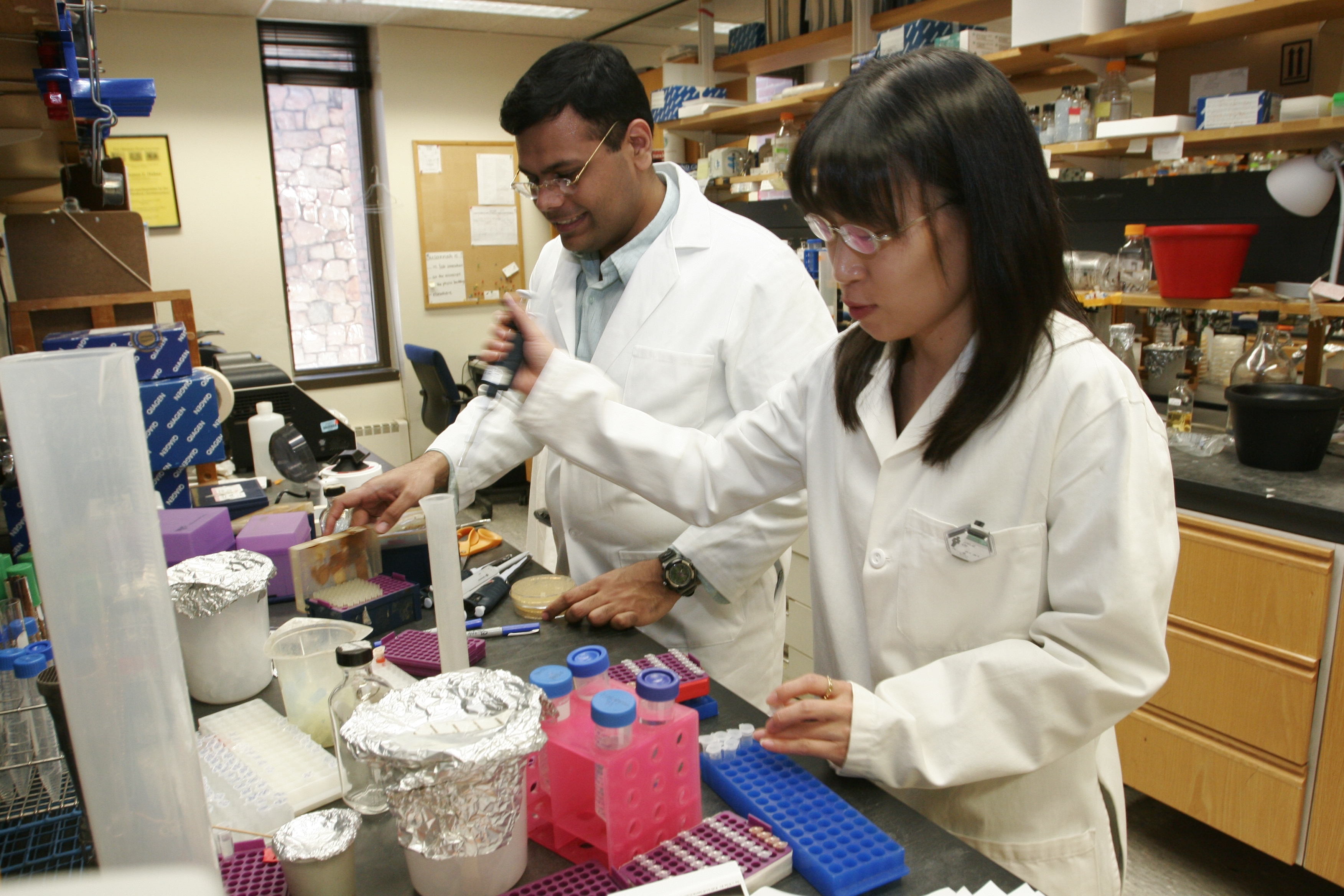 Two students working in Brandeis lab in 2019.