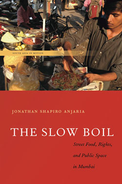 The Slow Boil book cover