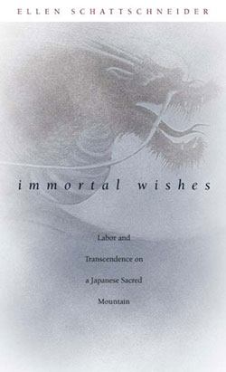 Immortal Wishes book cover - A dragon can be seen through the haze
