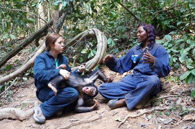Amy Hanes sits with another researcher in the rainforest with chimpanzees
