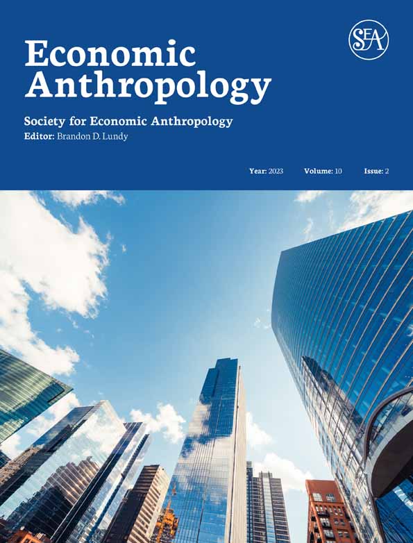 cover of Economic Anthropology issue with tall buildings photographed from below