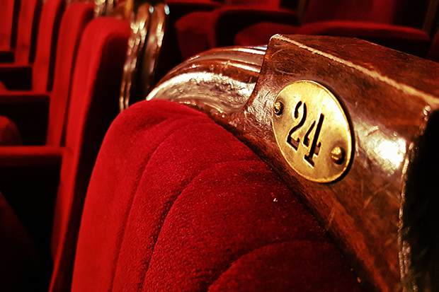 Red seats in a theater, plaque reads number 24