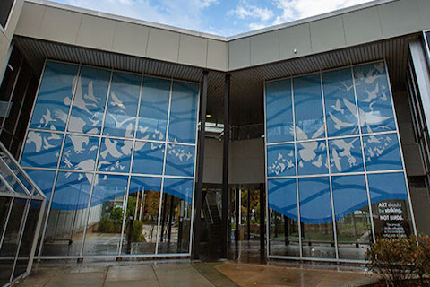 glass fronted building with overlay of blue and white bird design
