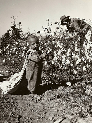 Photo of Child Picking Cotton 