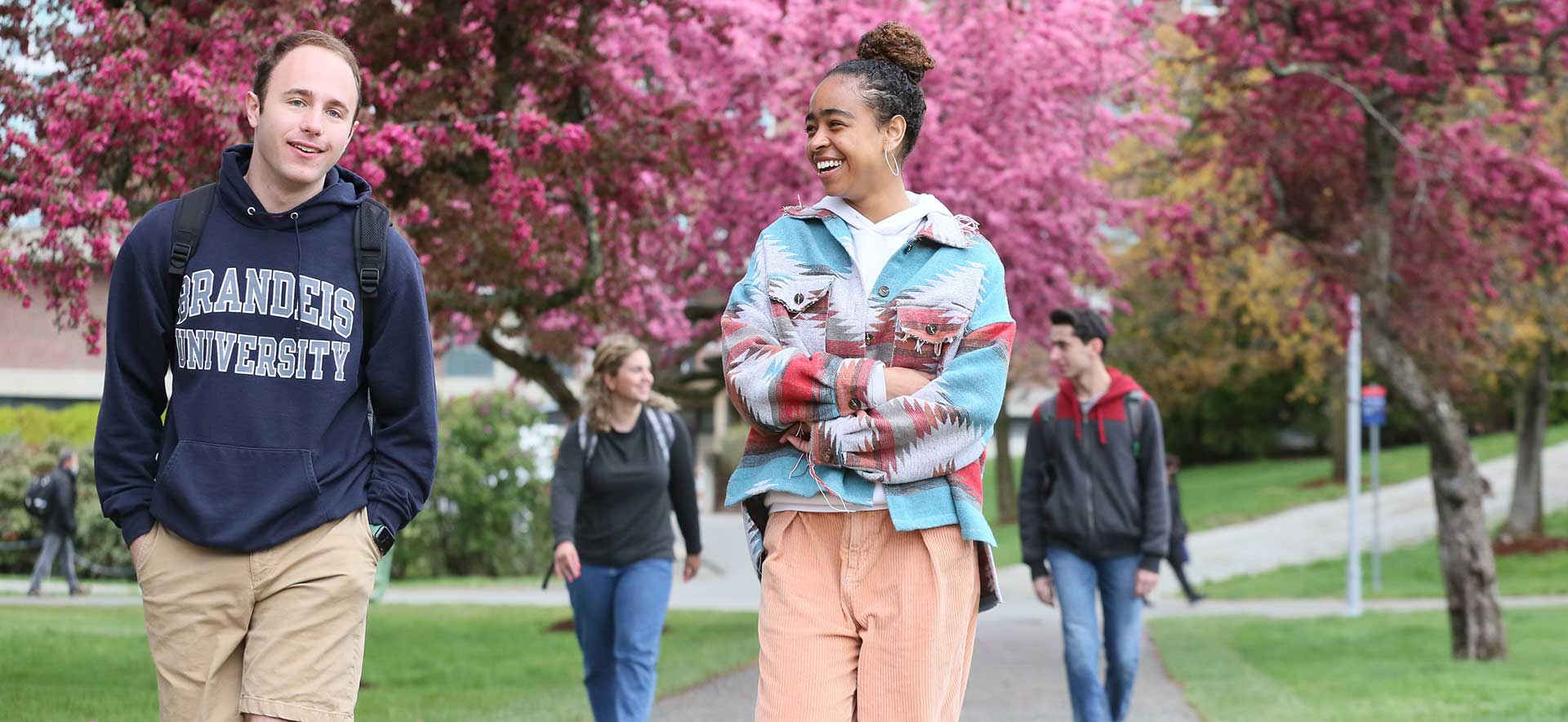 Brandeis students walk on campus, pink trees in bloom in the background