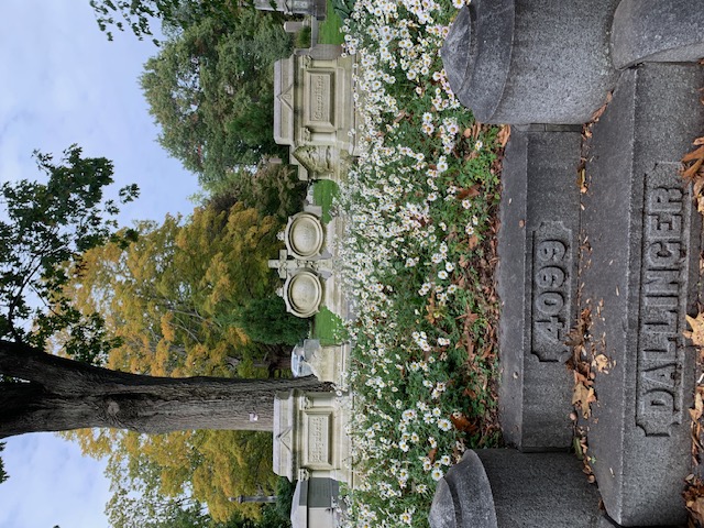 This image is of some of the gravestones at Mt. Auburn Cemetery. 