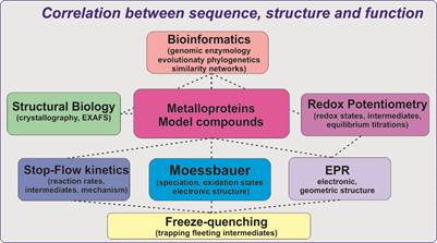 Correlation between sequence, structure and function