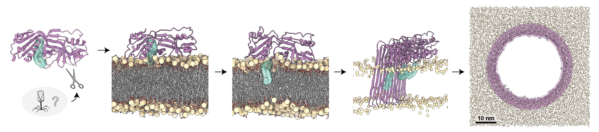 research image