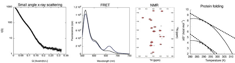 Combination of structural tools (x-ray crystallography, NMR, FRET, small angle x-ray scattering) with the tools of protein folding (thermodynamics, kinetics, energy landscape concepts) and computational modeling