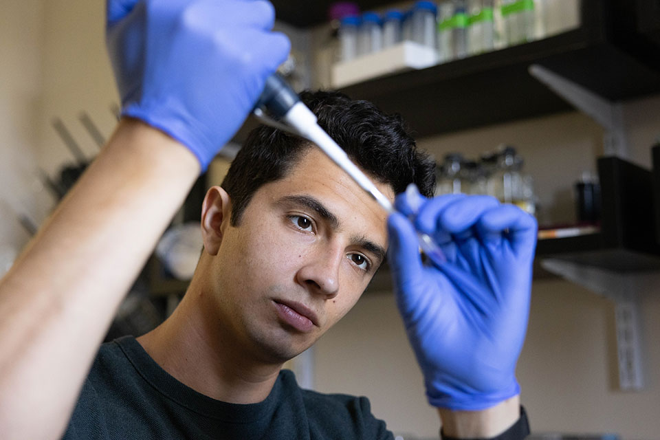 Graduate student works in the Biochemistry lab 