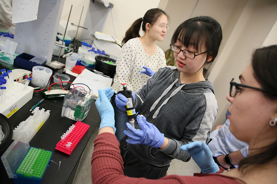 Students working in a lab