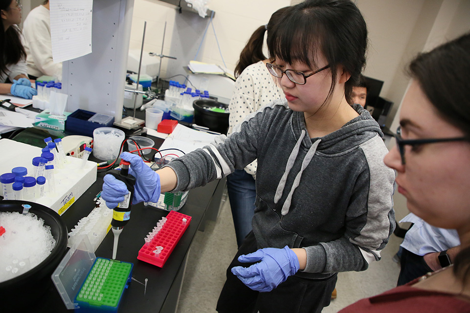 Students working in a lab