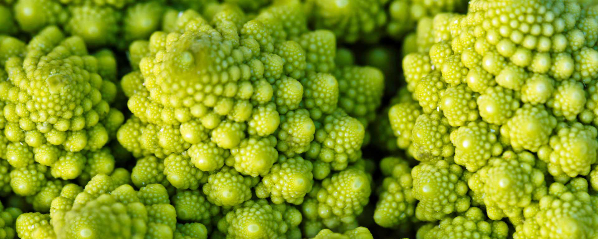 Romanesco broccoli