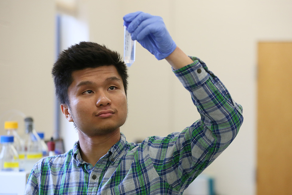 Student in the Biology teaching lab