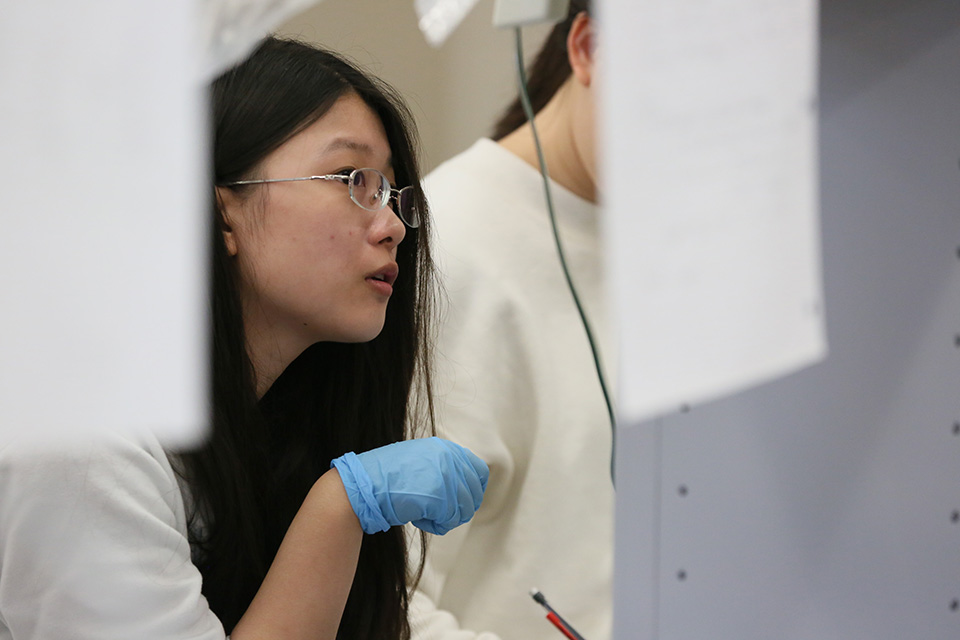 Undergraduate student in a Biology lab