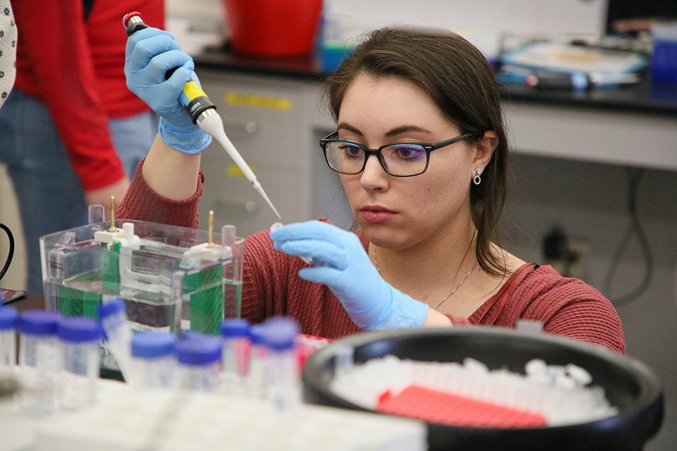 Student in Biology teaching lab