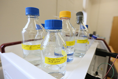 Bottles from the Biology teaching lab at Brandeis