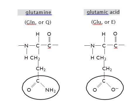 chemical structure for question 32