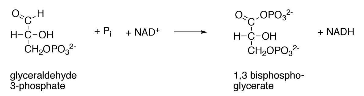 Chemical diagram associated with Question 57