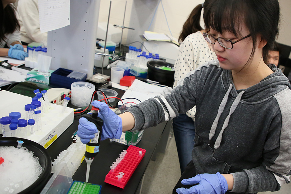 Student doing research in the Biology Teaching Lab