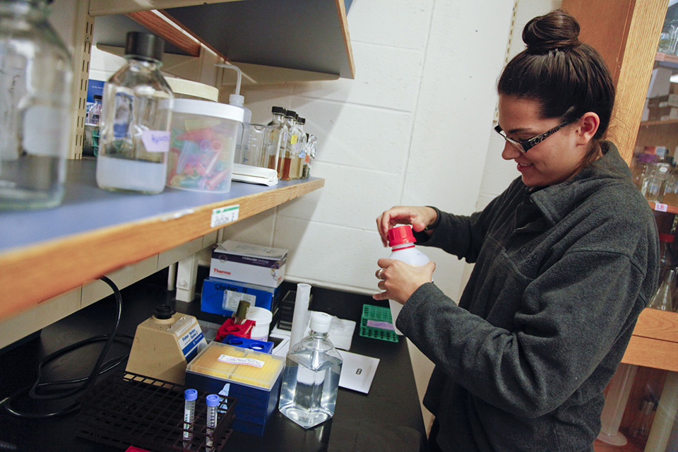 Biotechnology student working in the lab