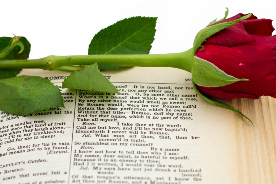 Rose lying on a page from "Romeo and Juliet"