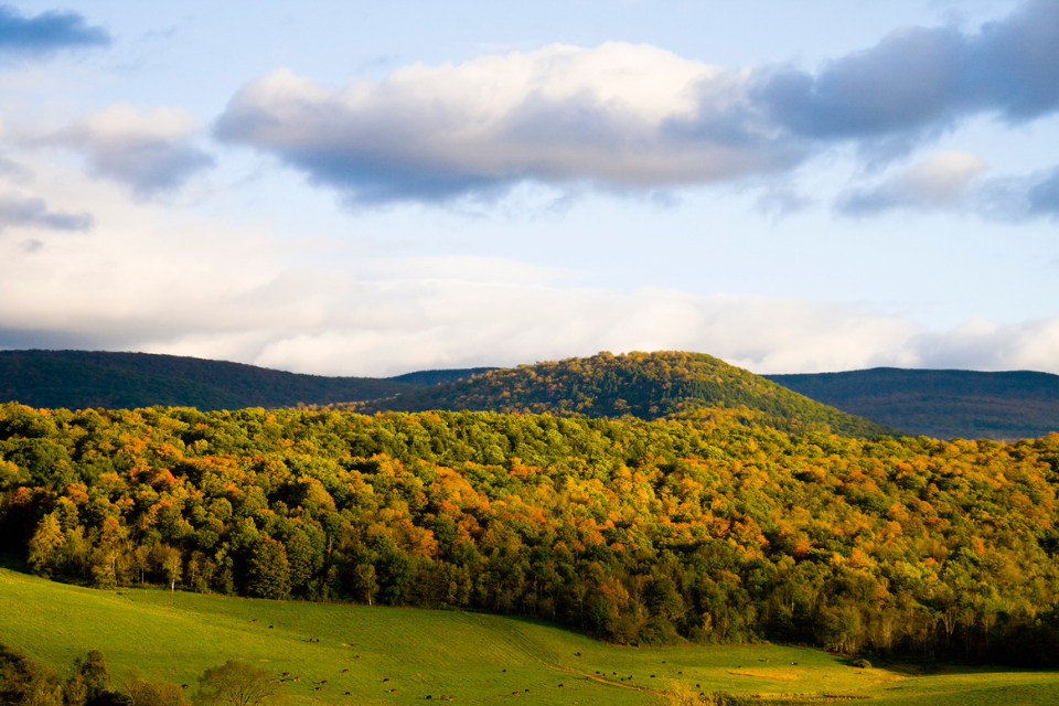 View of the Berkshire mountains