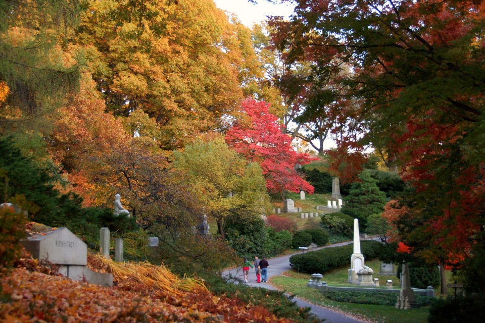 Fall foliage at Mt Auburn Cemetery