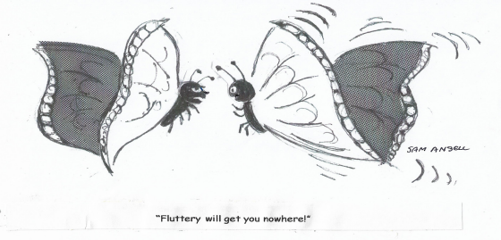Two butterflies talk to each other.