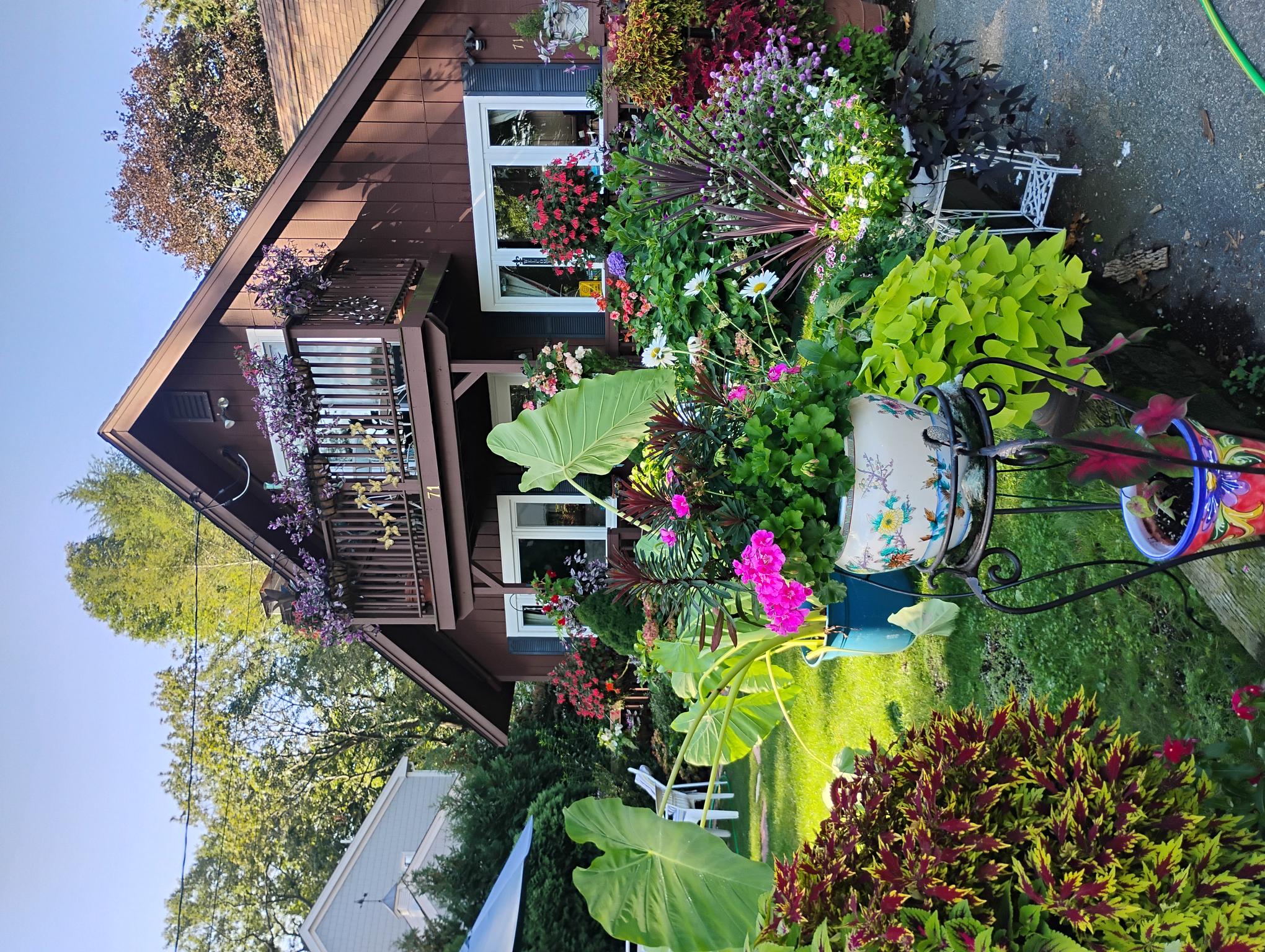 garden