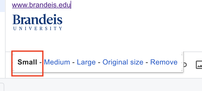 Word "small" outlined in red.