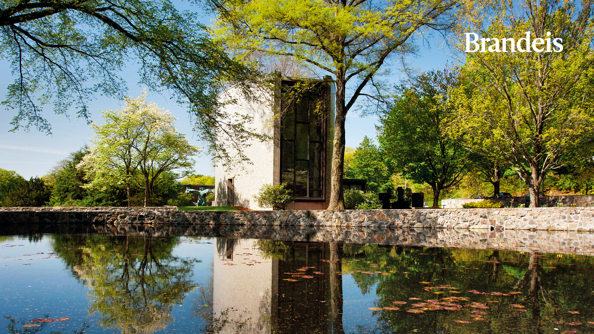 Pond and chapel with Brandeis logo
