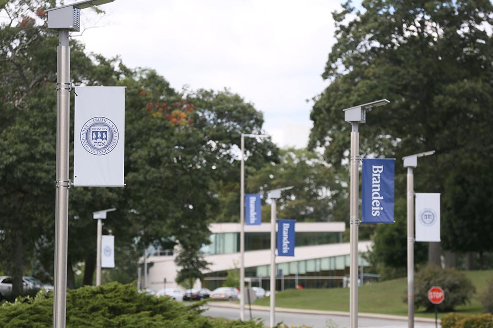 Brandeis banners on campus
