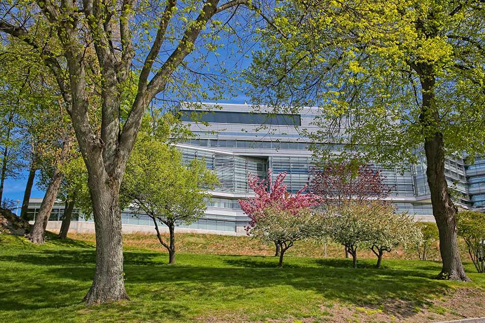 Shapiro science center, viewed through spring foliage