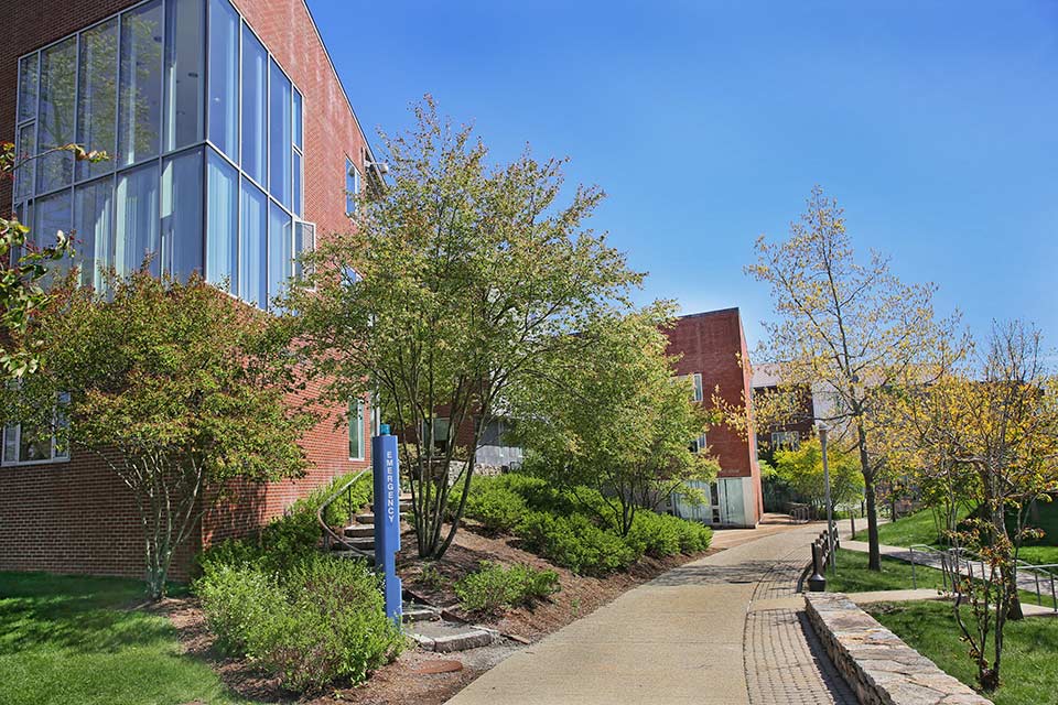 Pathways through the Village on the Brandeis campus