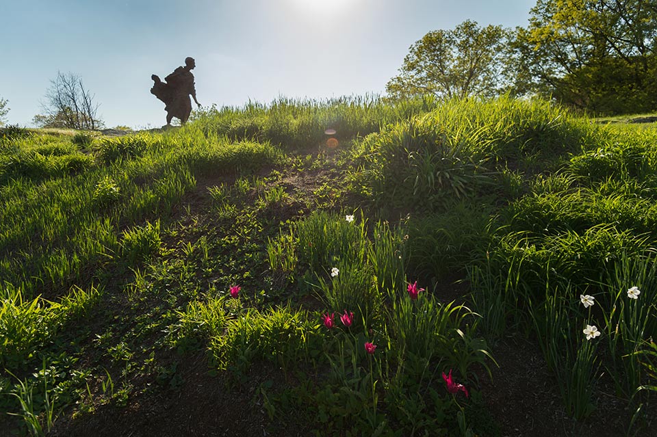 Grassy field with Louis Brandeis statue