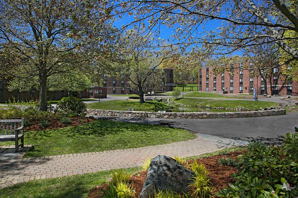 Massell Quad in spring