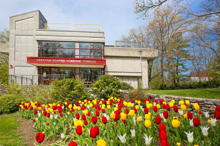 academic building with red and yellow tulips