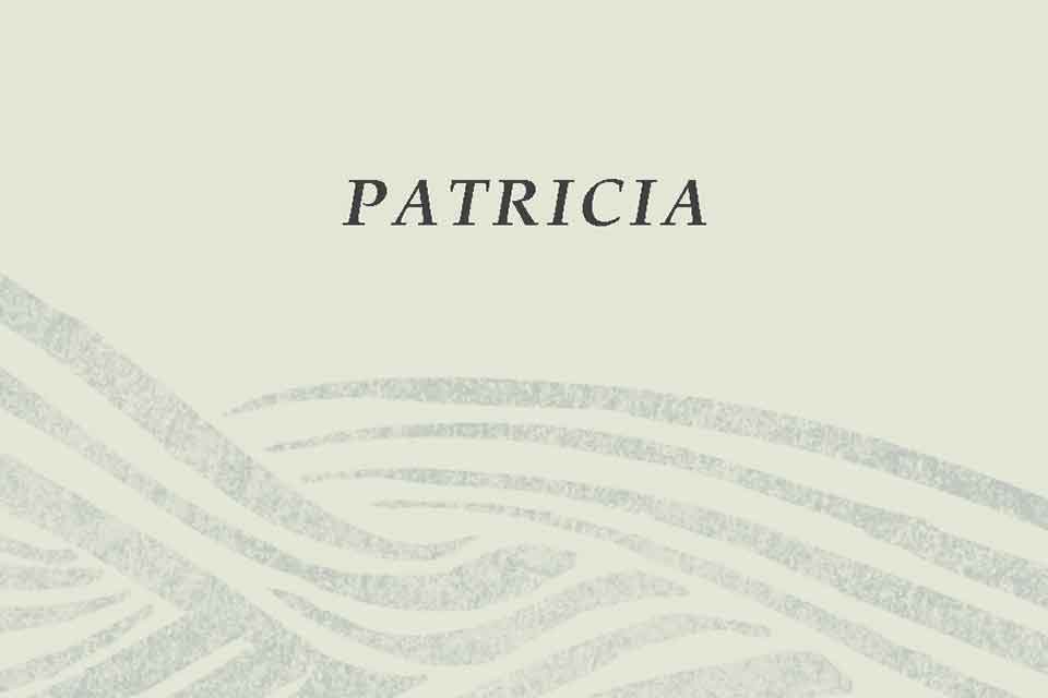 Illustration with the text PATRICIA above waves